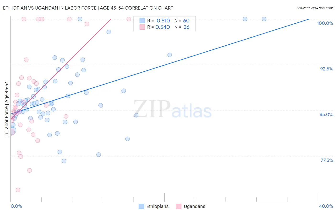 Ethiopian vs Ugandan In Labor Force | Age 45-54