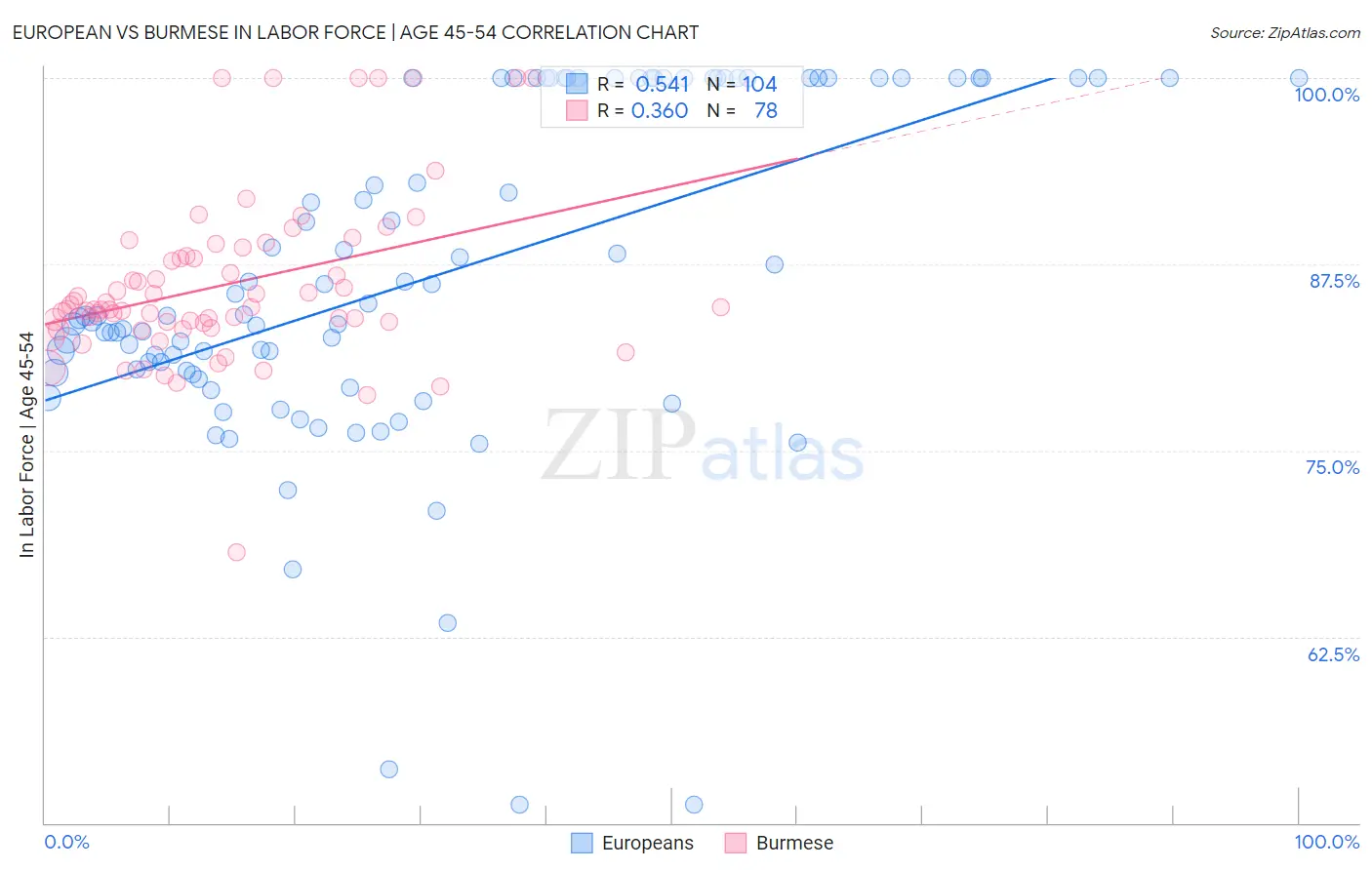 European vs Burmese In Labor Force | Age 45-54