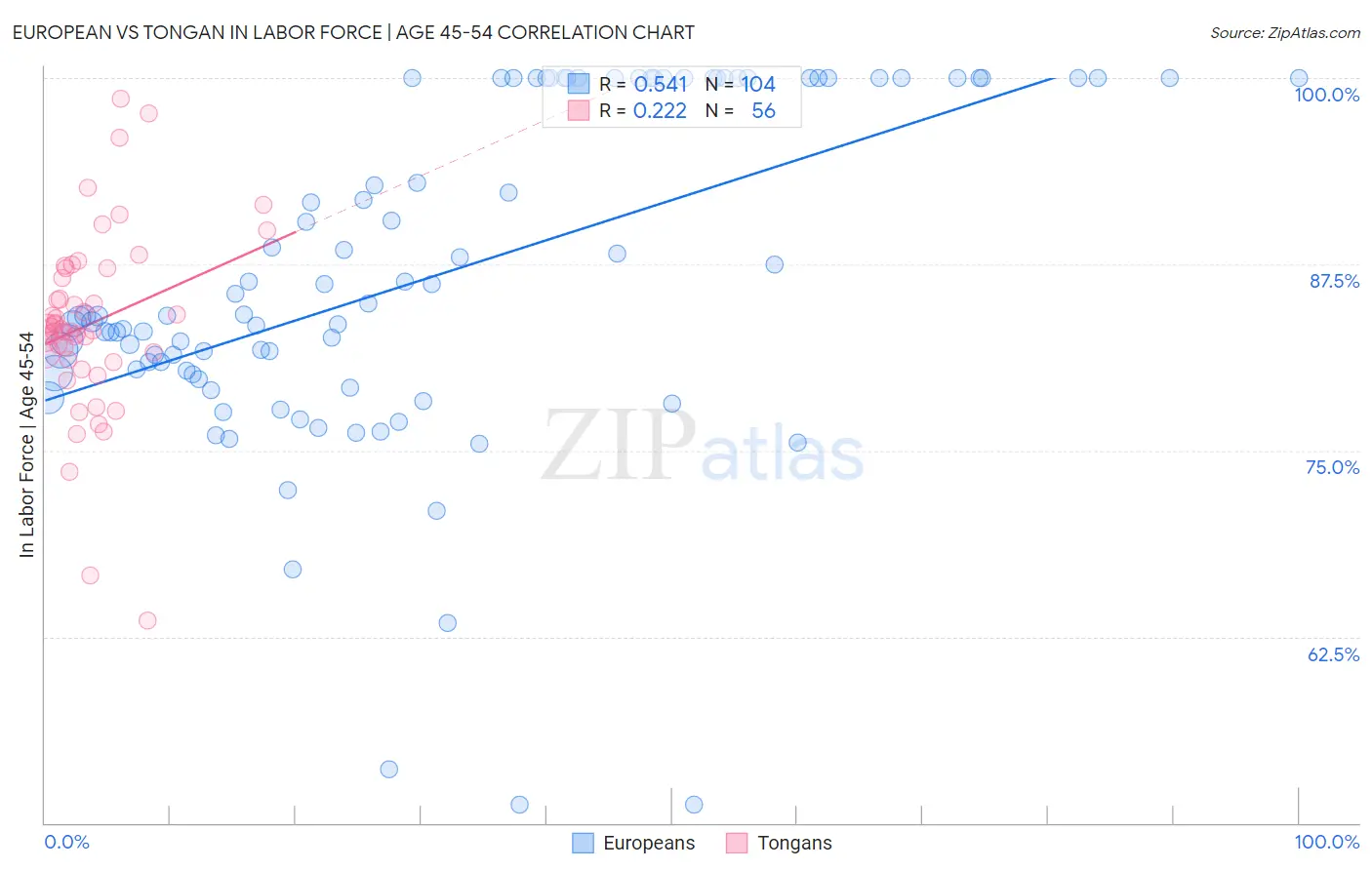 European vs Tongan In Labor Force | Age 45-54