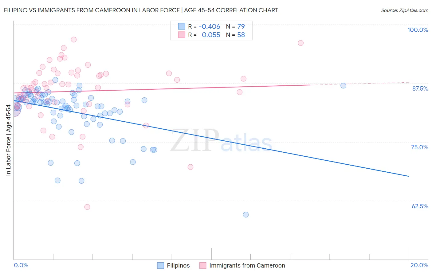Filipino vs Immigrants from Cameroon In Labor Force | Age 45-54