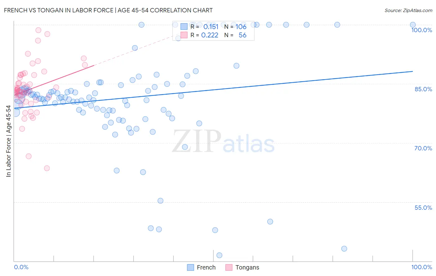 French vs Tongan In Labor Force | Age 45-54