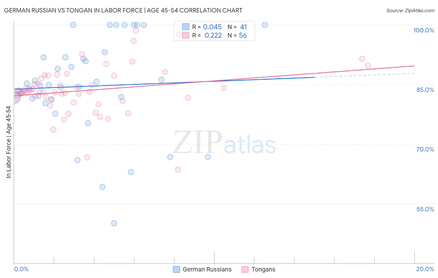 German Russian vs Tongan In Labor Force | Age 45-54