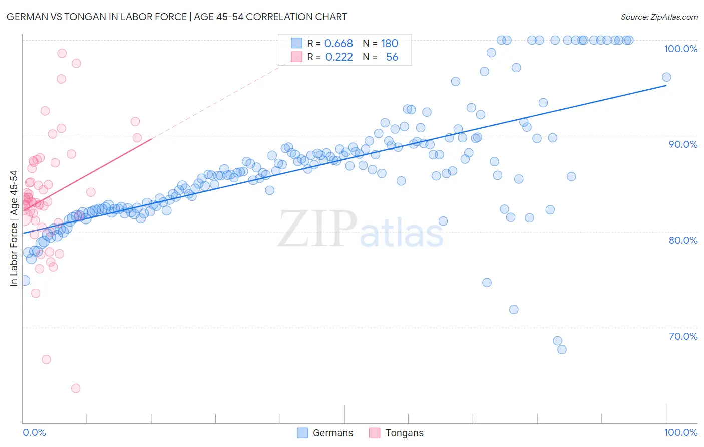 German vs Tongan In Labor Force | Age 45-54