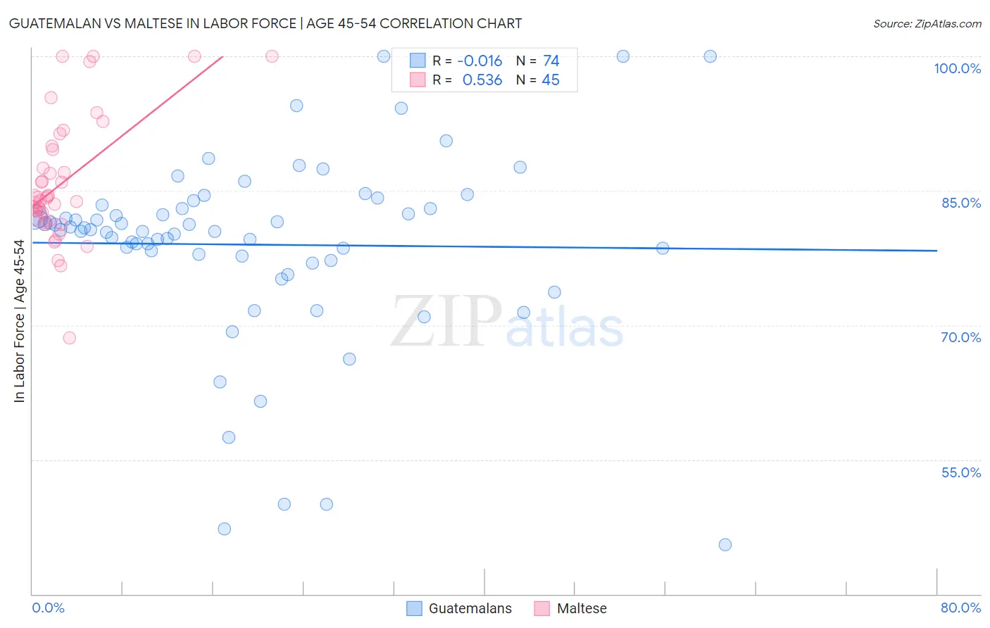 Guatemalan vs Maltese In Labor Force | Age 45-54
