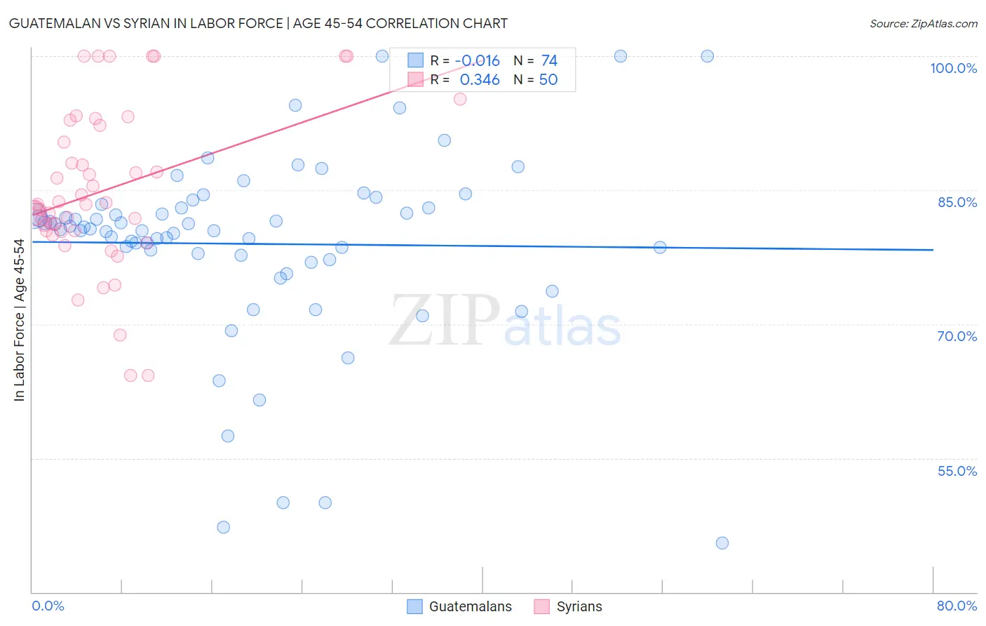 Guatemalan vs Syrian In Labor Force | Age 45-54