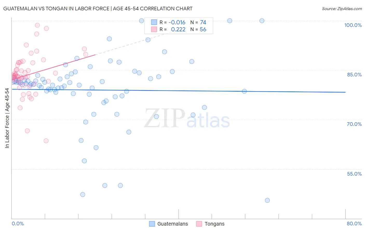 Guatemalan vs Tongan In Labor Force | Age 45-54