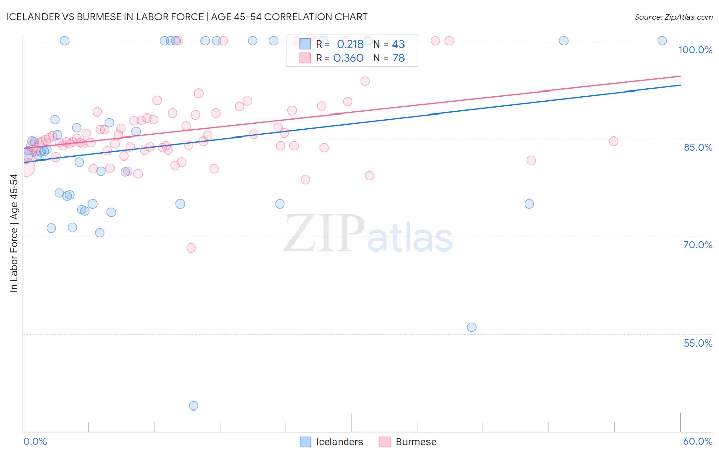 Icelander vs Burmese In Labor Force | Age 45-54