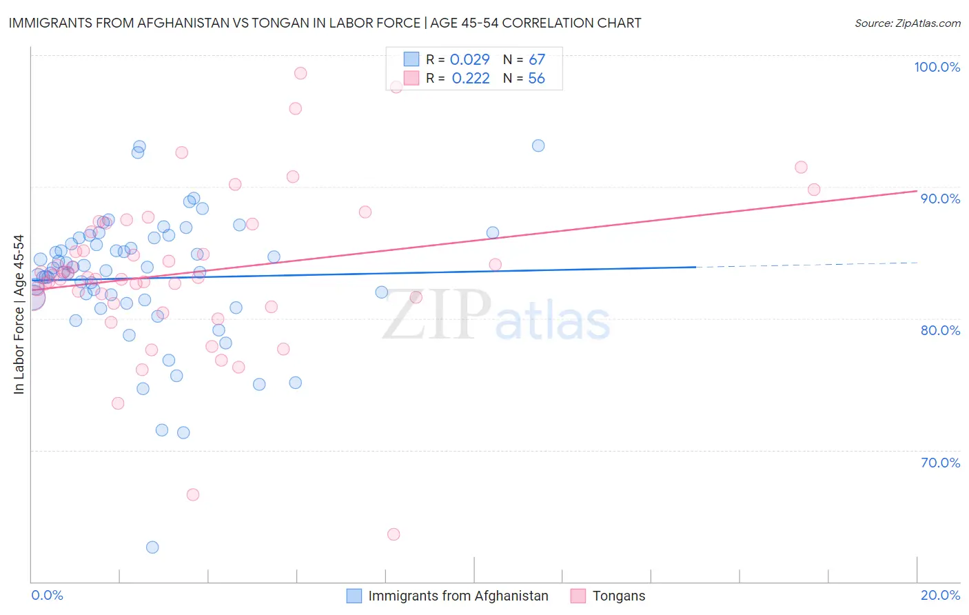 Immigrants from Afghanistan vs Tongan In Labor Force | Age 45-54