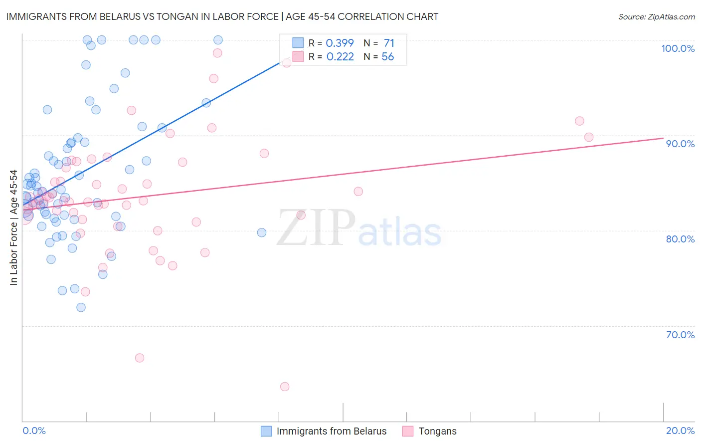 Immigrants from Belarus vs Tongan In Labor Force | Age 45-54