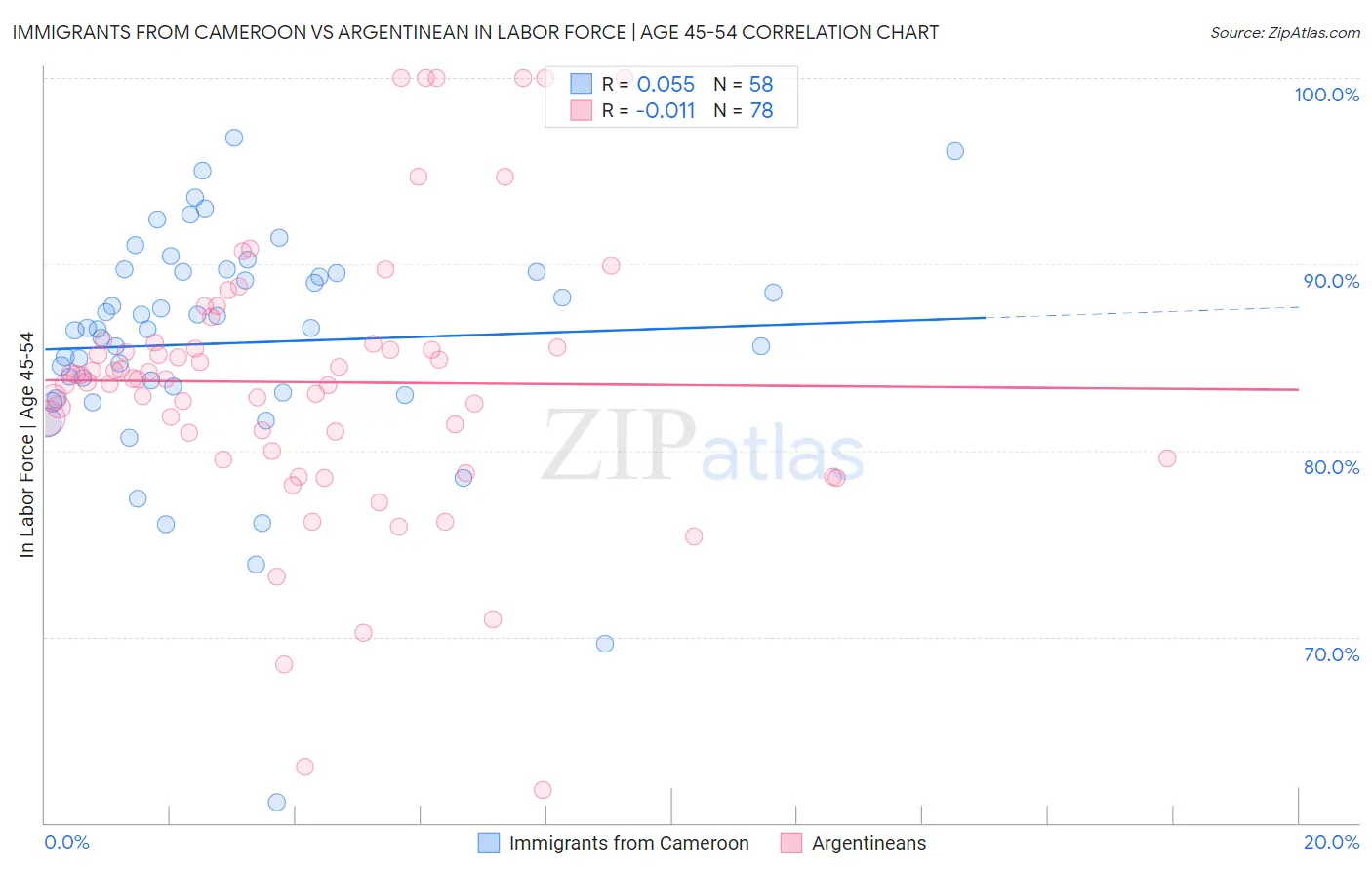 Immigrants from Cameroon vs Argentinean In Labor Force | Age 45-54