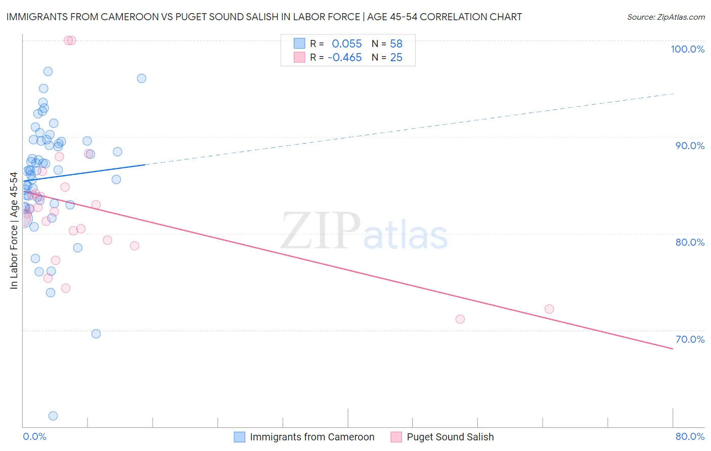 Immigrants from Cameroon vs Puget Sound Salish In Labor Force | Age 45-54