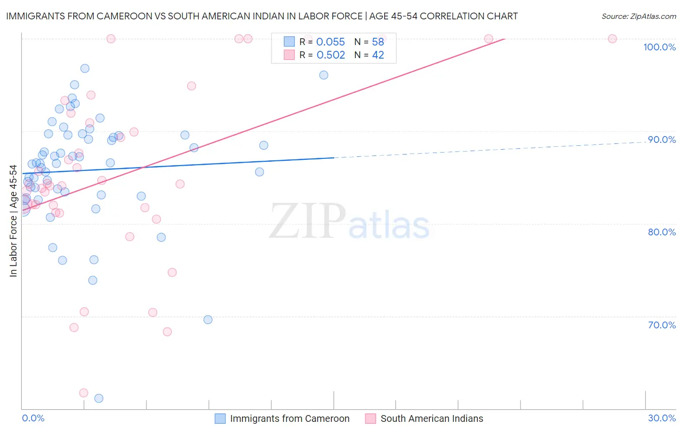 Immigrants from Cameroon vs South American Indian In Labor Force | Age 45-54