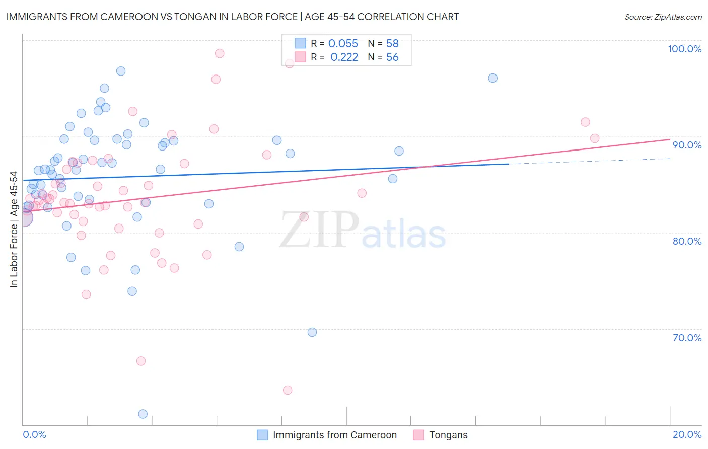 Immigrants from Cameroon vs Tongan In Labor Force | Age 45-54