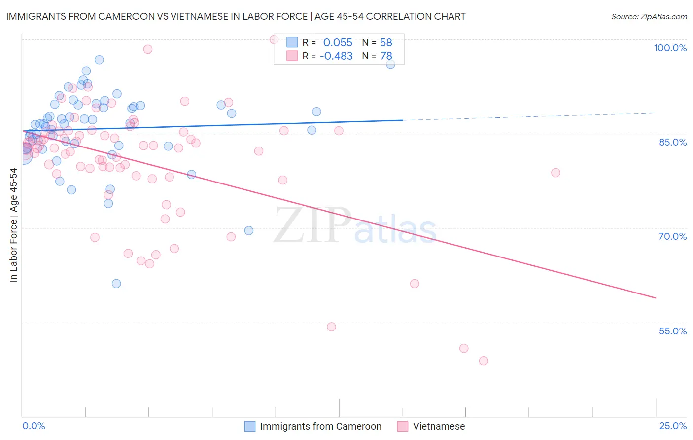 Immigrants from Cameroon vs Vietnamese In Labor Force | Age 45-54