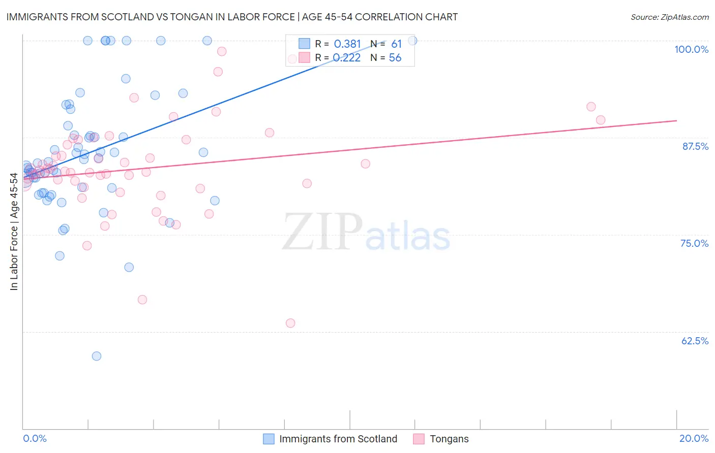 Immigrants from Scotland vs Tongan In Labor Force | Age 45-54