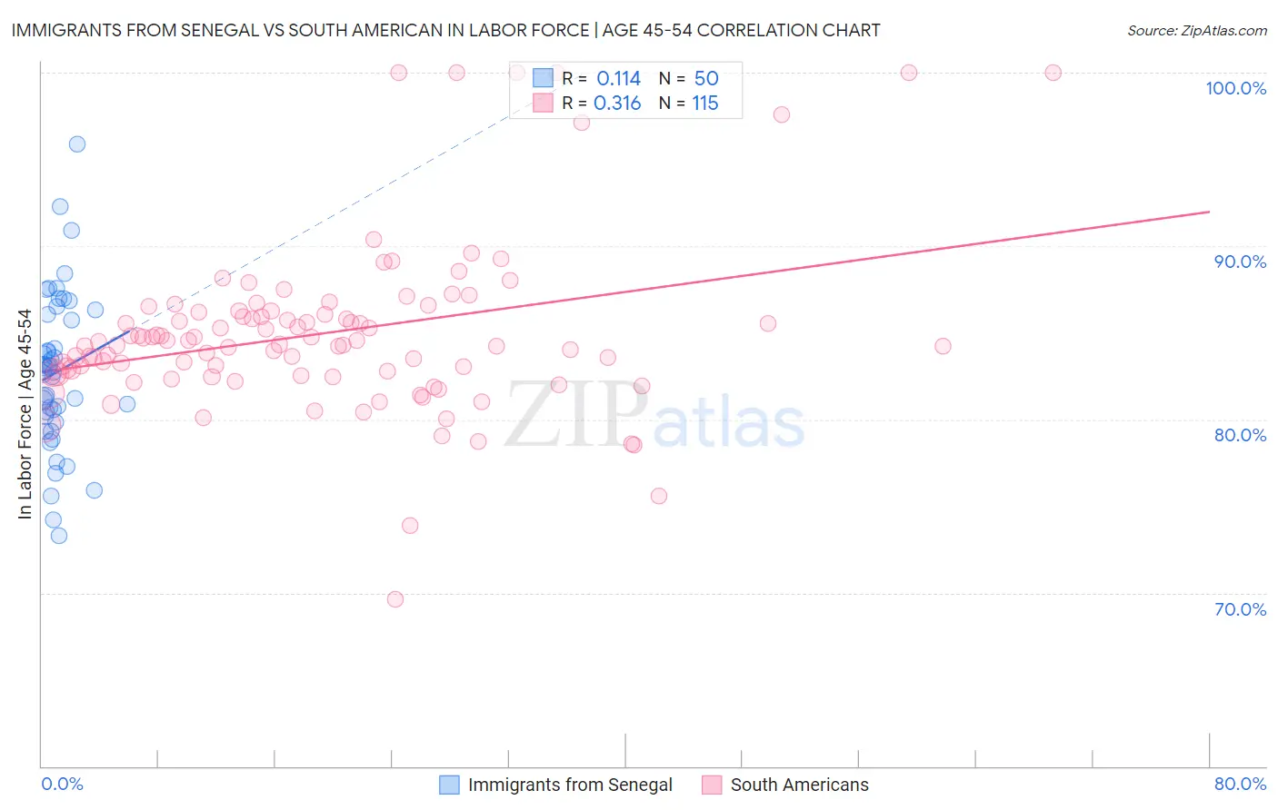 Immigrants from Senegal vs South American In Labor Force | Age 45-54