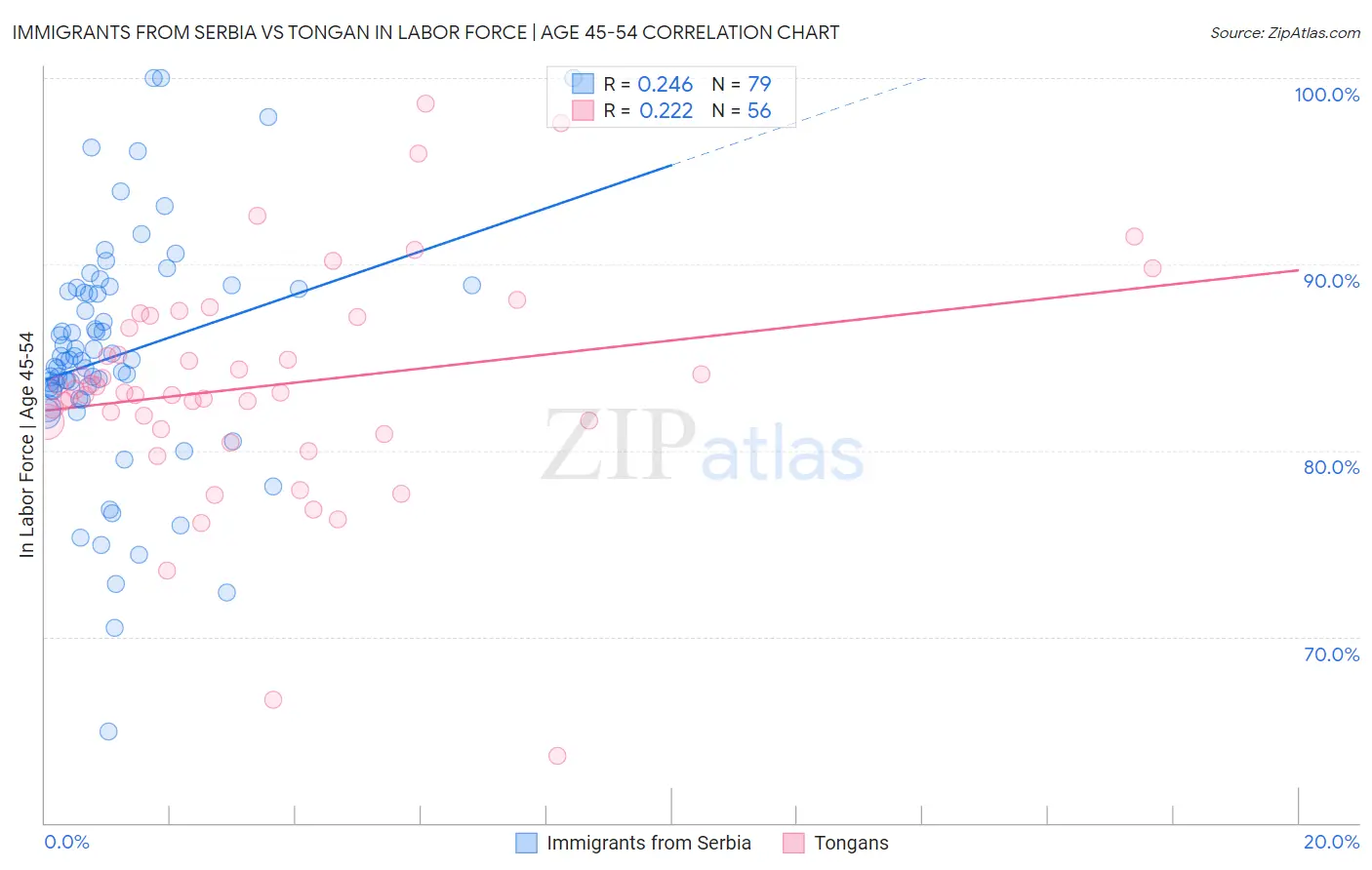 Immigrants from Serbia vs Tongan In Labor Force | Age 45-54