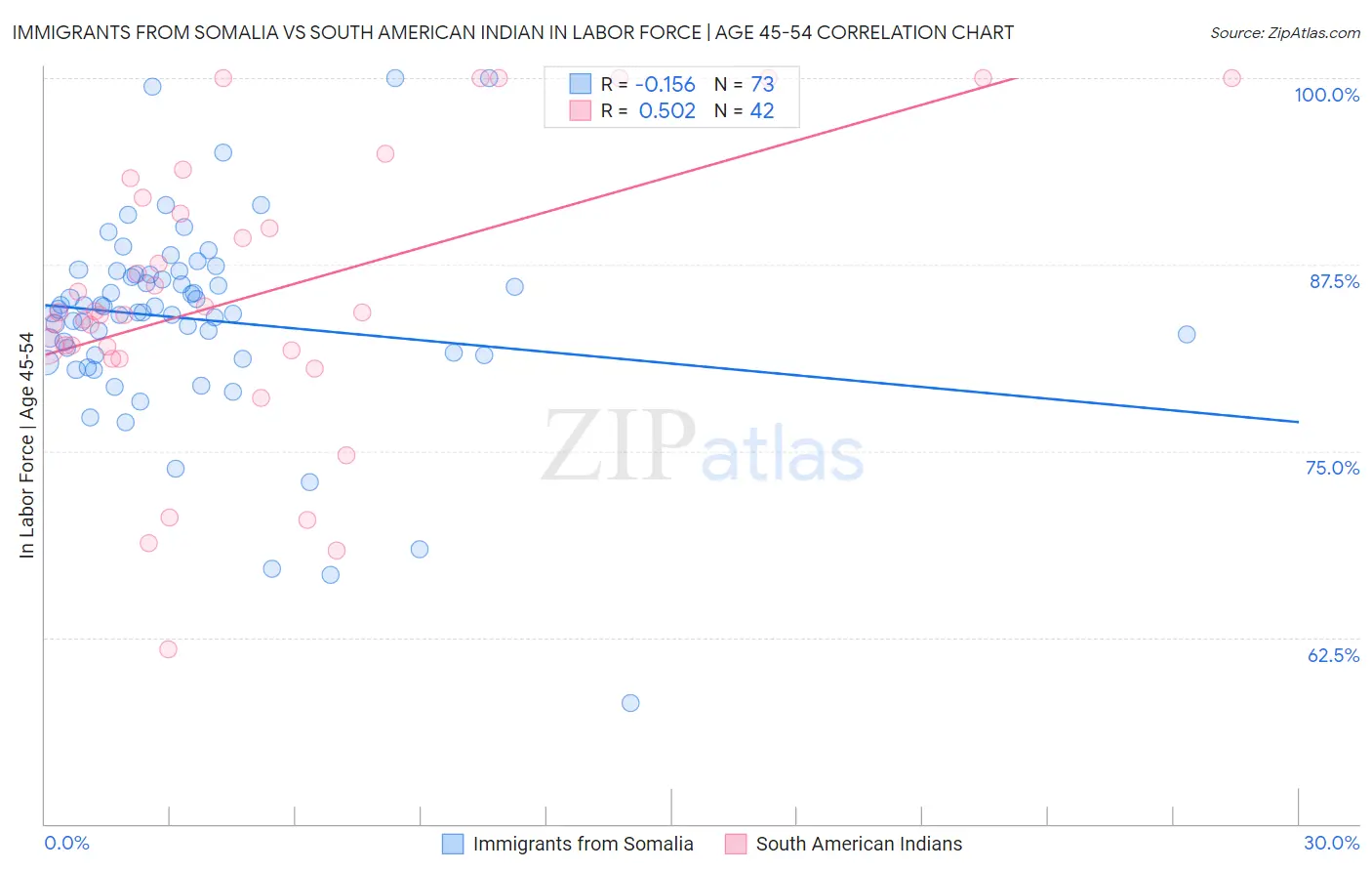 Immigrants from Somalia vs South American Indian In Labor Force | Age 45-54