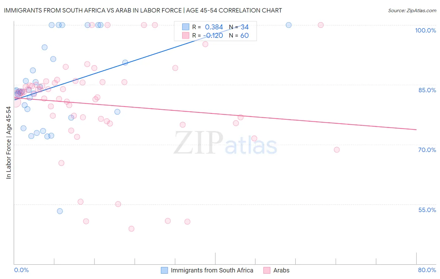 Immigrants from South Africa vs Arab In Labor Force | Age 45-54