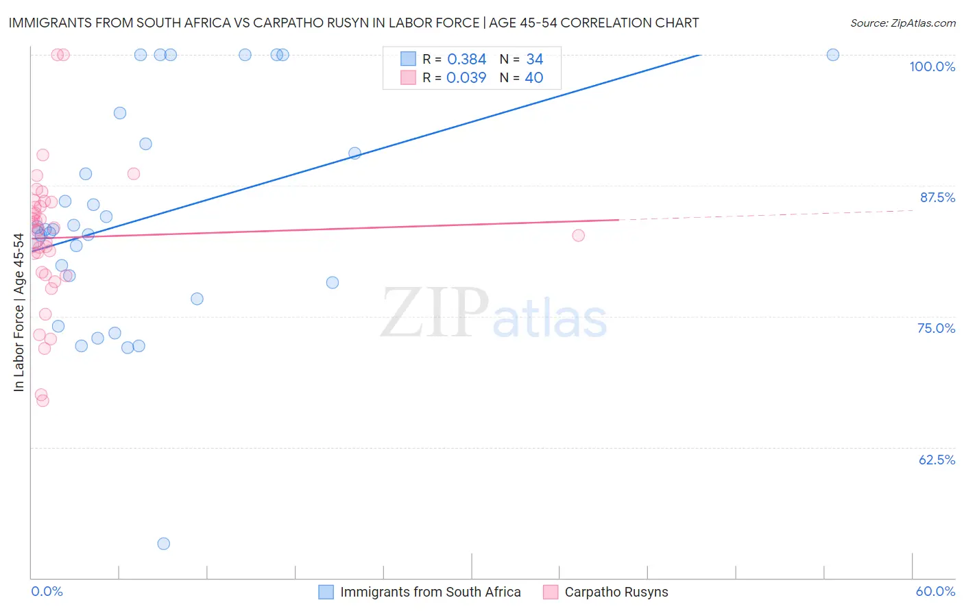 Immigrants from South Africa vs Carpatho Rusyn In Labor Force | Age 45-54