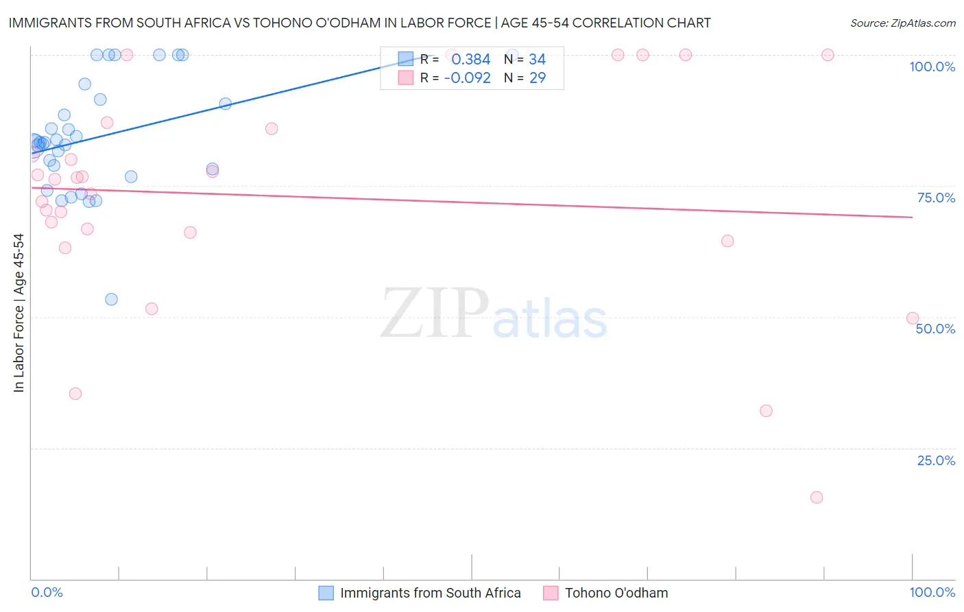 Immigrants from South Africa vs Tohono O'odham In Labor Force | Age 45-54