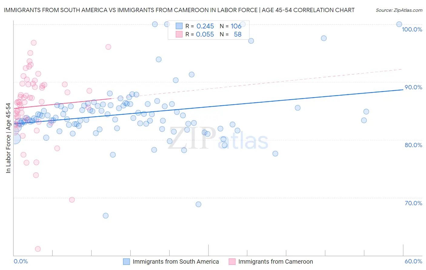 Immigrants from South America vs Immigrants from Cameroon In Labor Force | Age 45-54