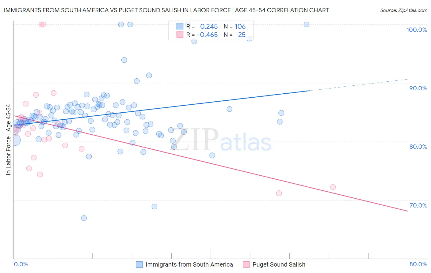 Immigrants from South America vs Puget Sound Salish In Labor Force | Age 45-54