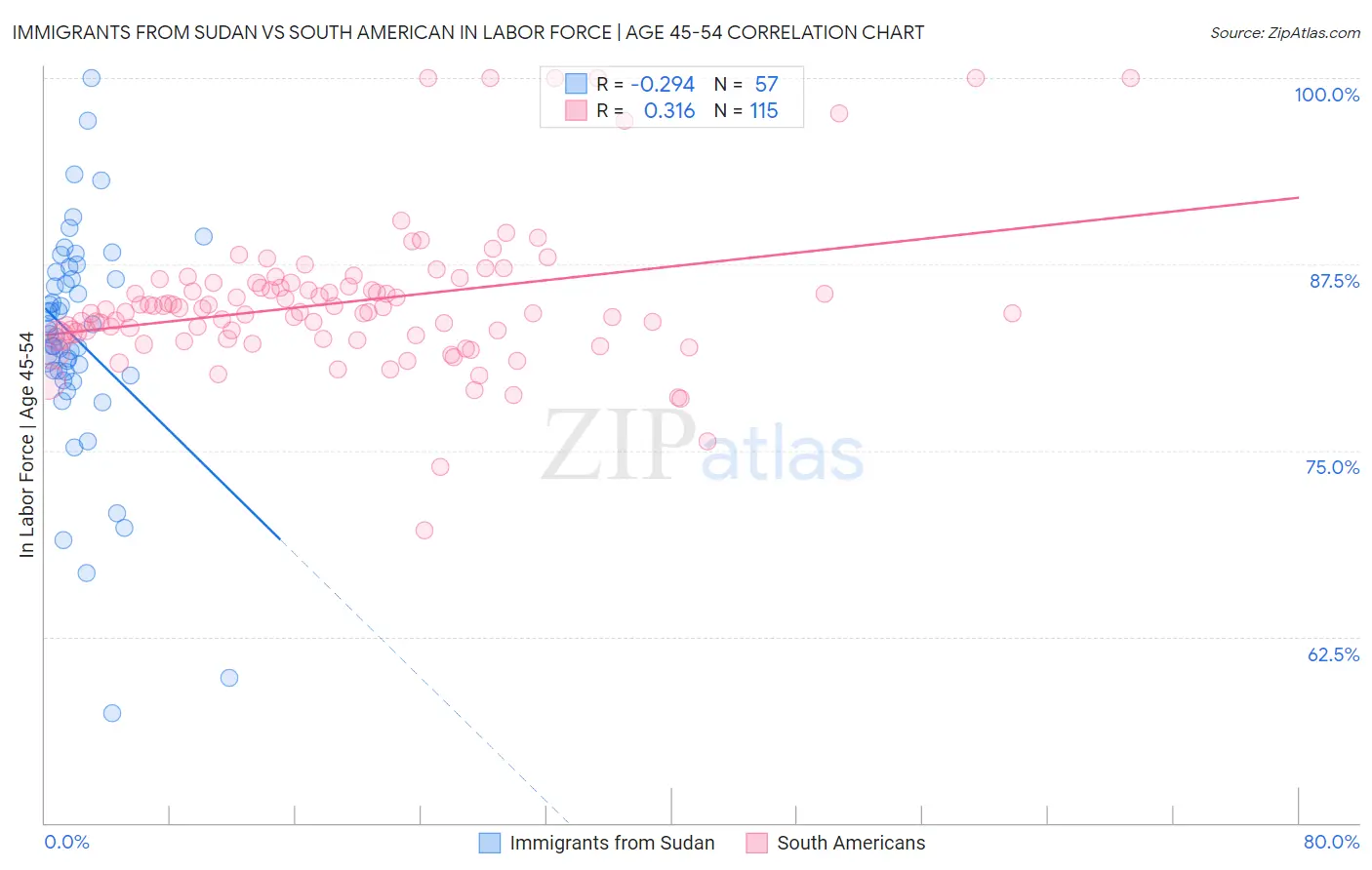 Immigrants from Sudan vs South American In Labor Force | Age 45-54