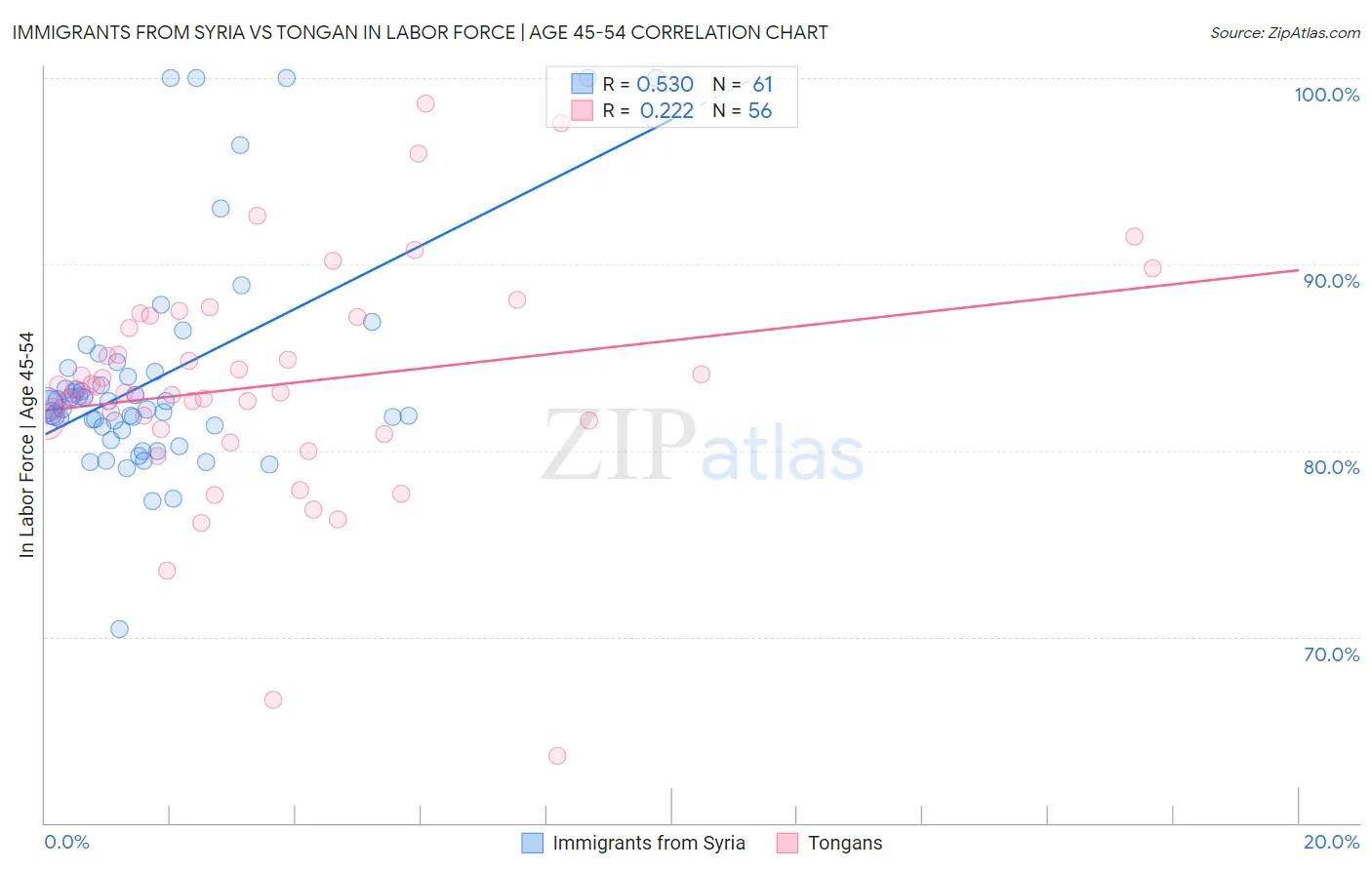 Immigrants from Syria vs Tongan In Labor Force | Age 45-54