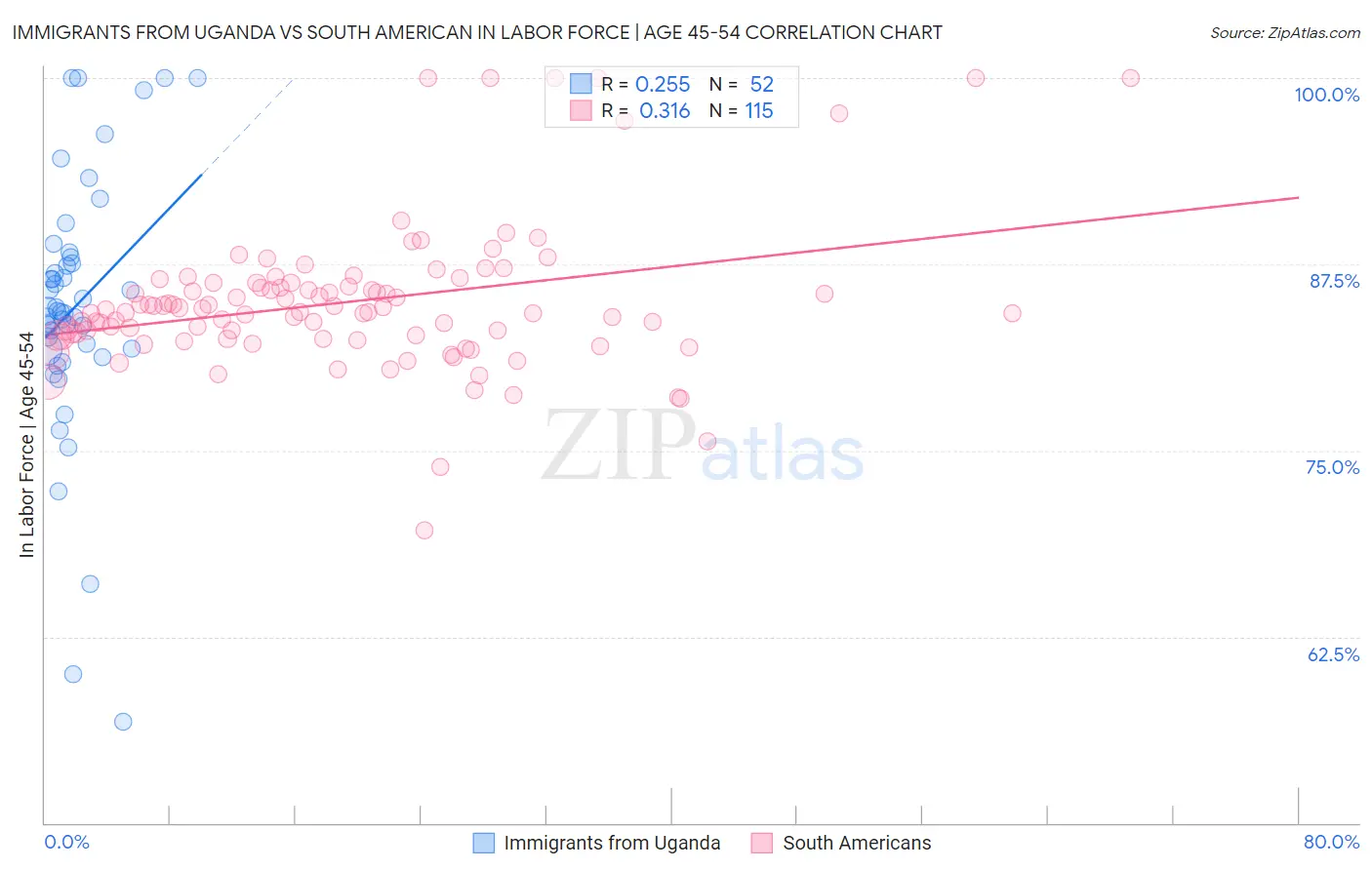 Immigrants from Uganda vs South American In Labor Force | Age 45-54