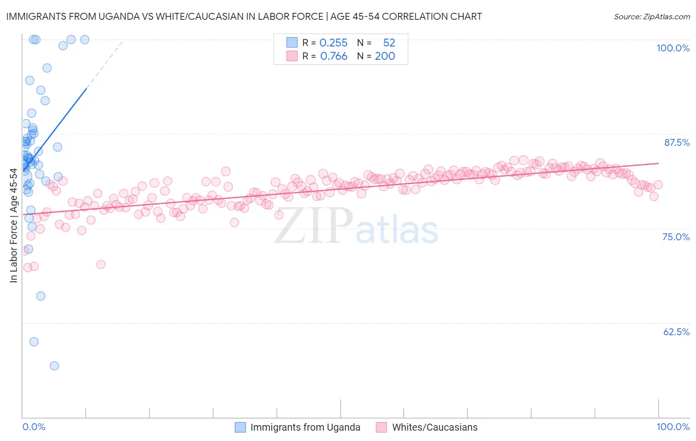 Immigrants from Uganda vs White/Caucasian In Labor Force | Age 45-54