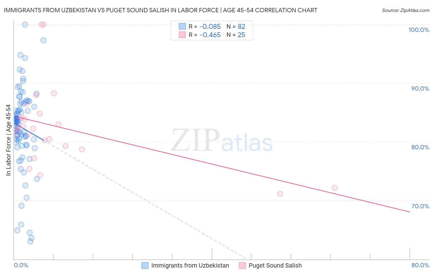 Immigrants from Uzbekistan vs Puget Sound Salish In Labor Force | Age 45-54