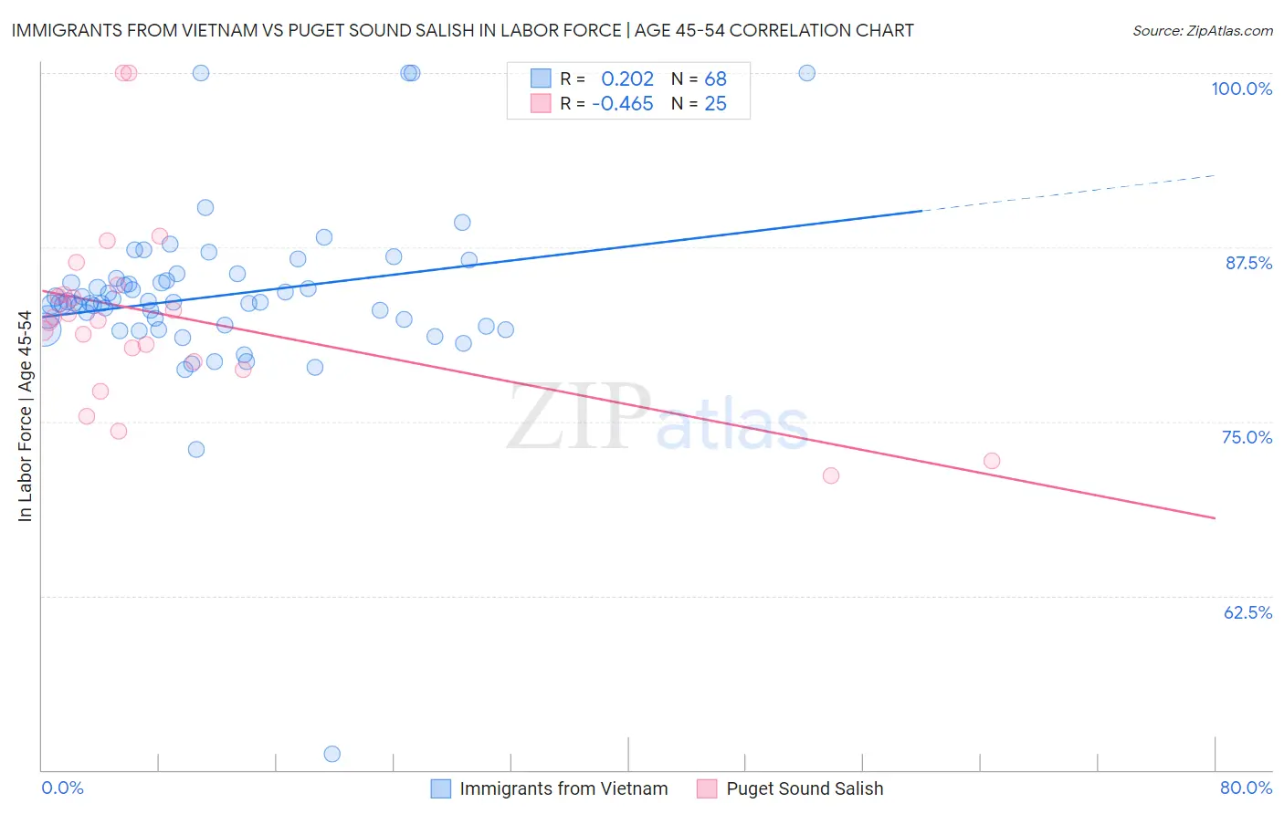 Immigrants from Vietnam vs Puget Sound Salish In Labor Force | Age 45-54