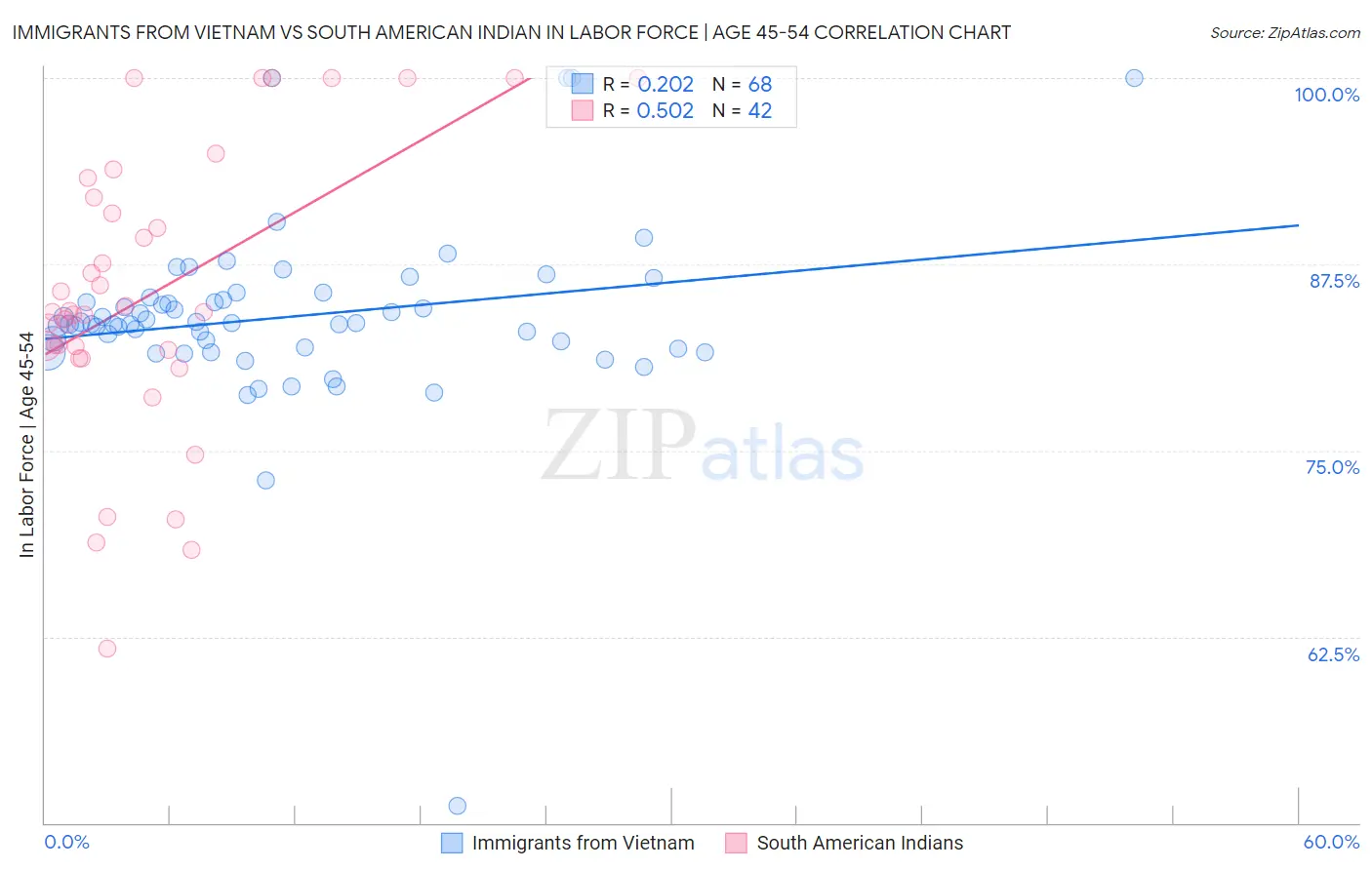 Immigrants from Vietnam vs South American Indian In Labor Force | Age 45-54
