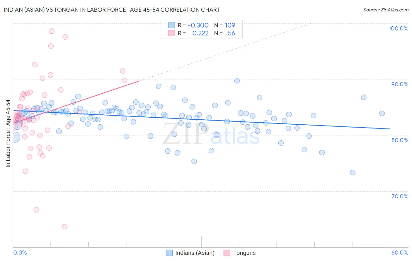 Indian (Asian) vs Tongan In Labor Force | Age 45-54