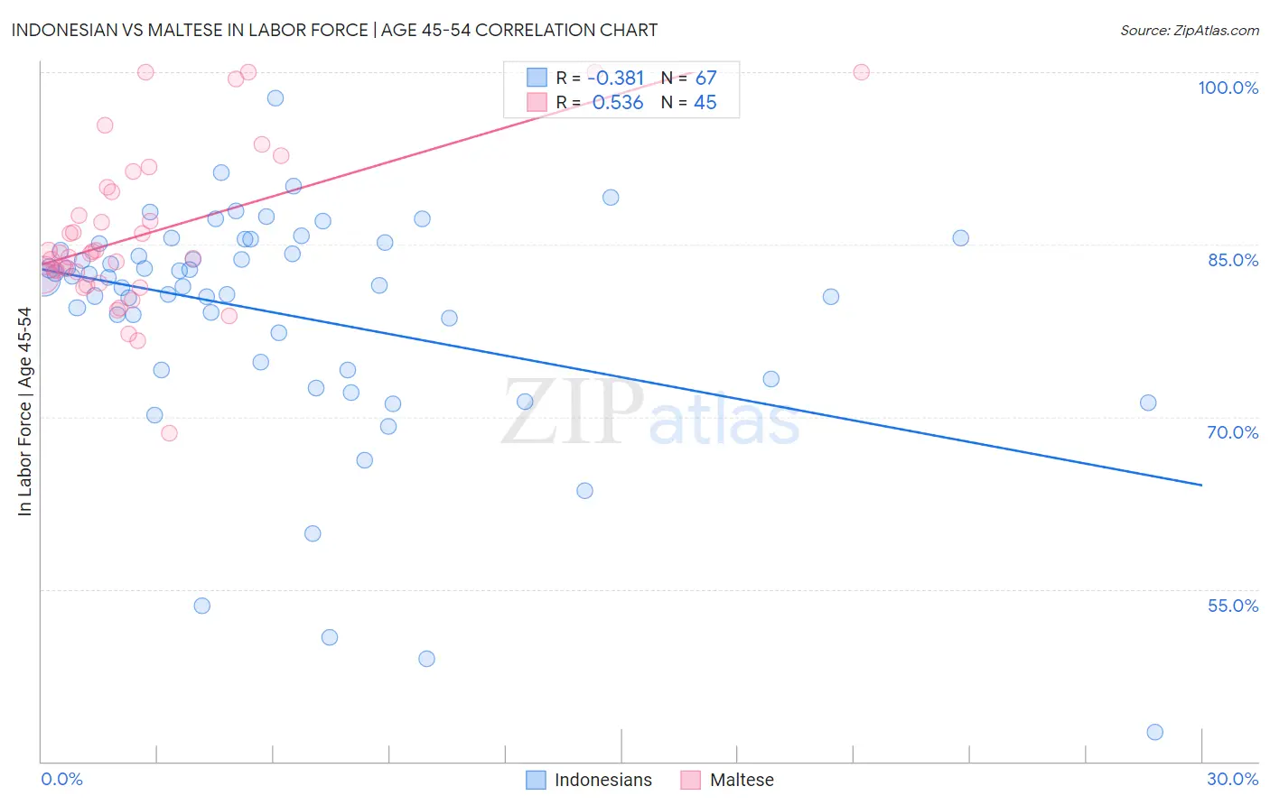 Indonesian vs Maltese In Labor Force | Age 45-54