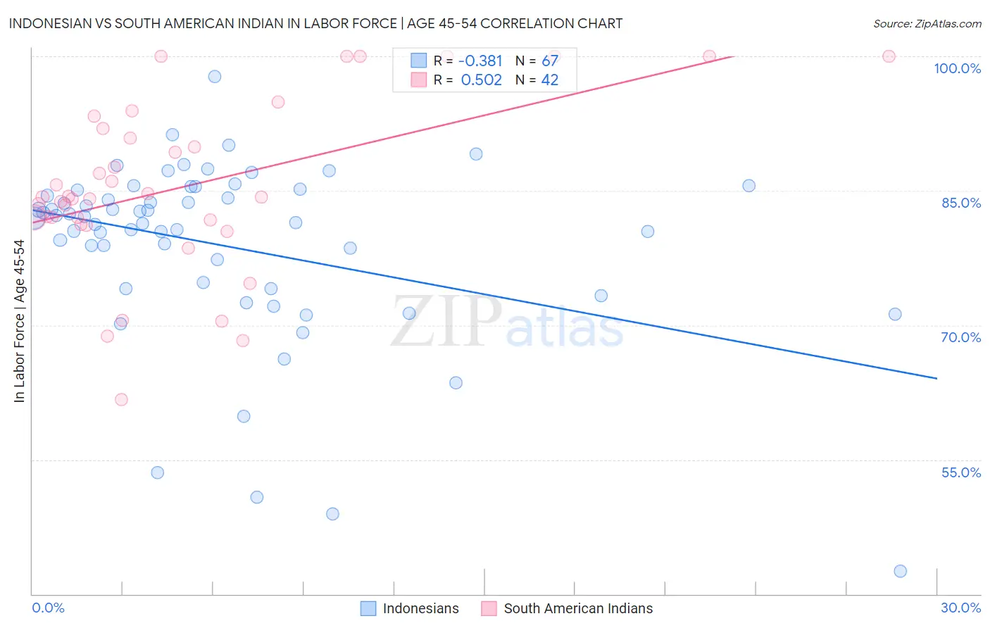 Indonesian vs South American Indian In Labor Force | Age 45-54