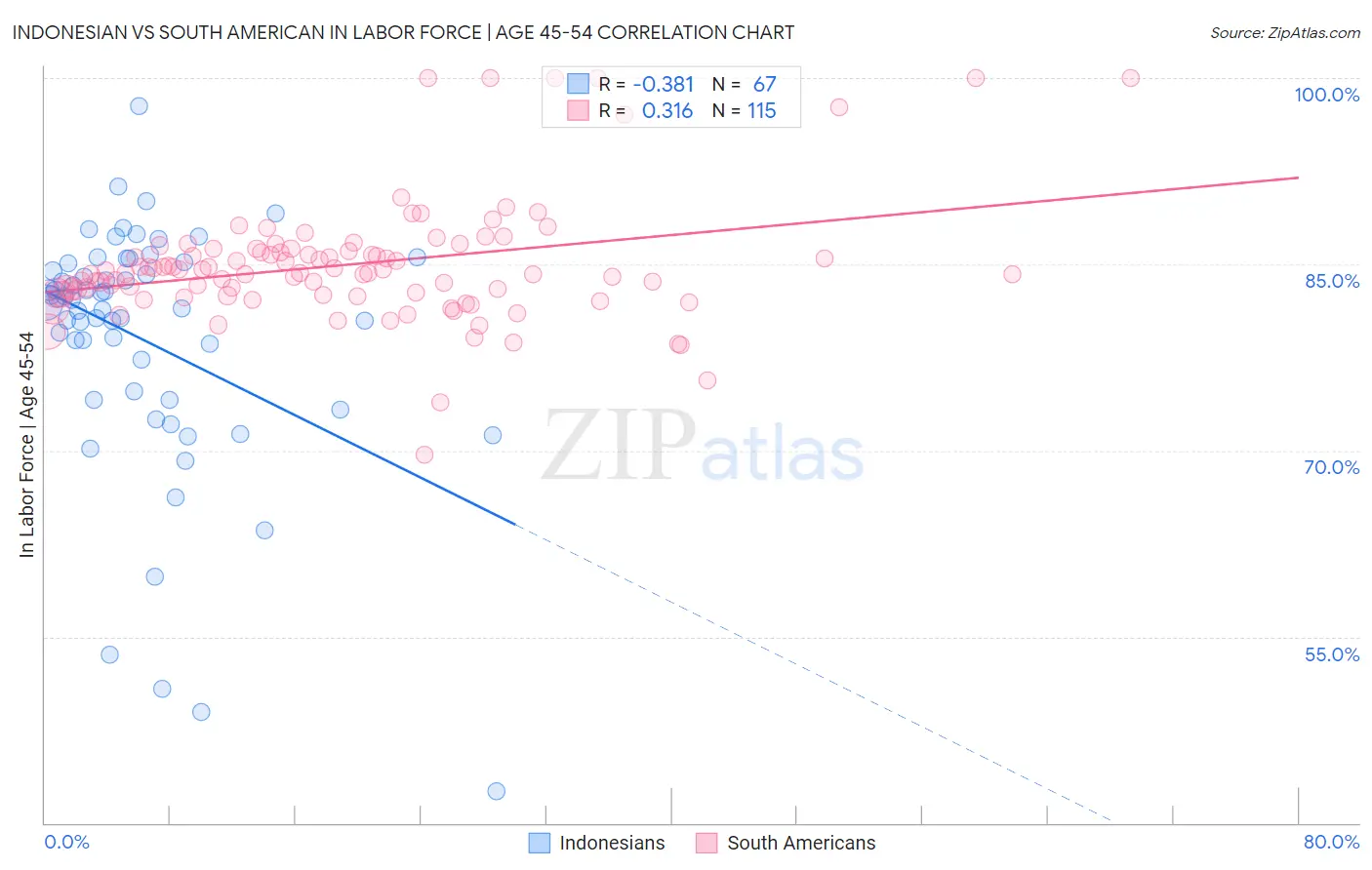 Indonesian vs South American In Labor Force | Age 45-54