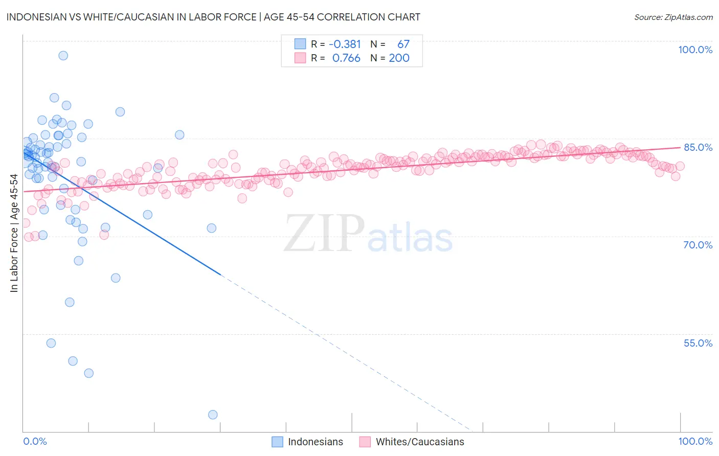 Indonesian vs White/Caucasian In Labor Force | Age 45-54