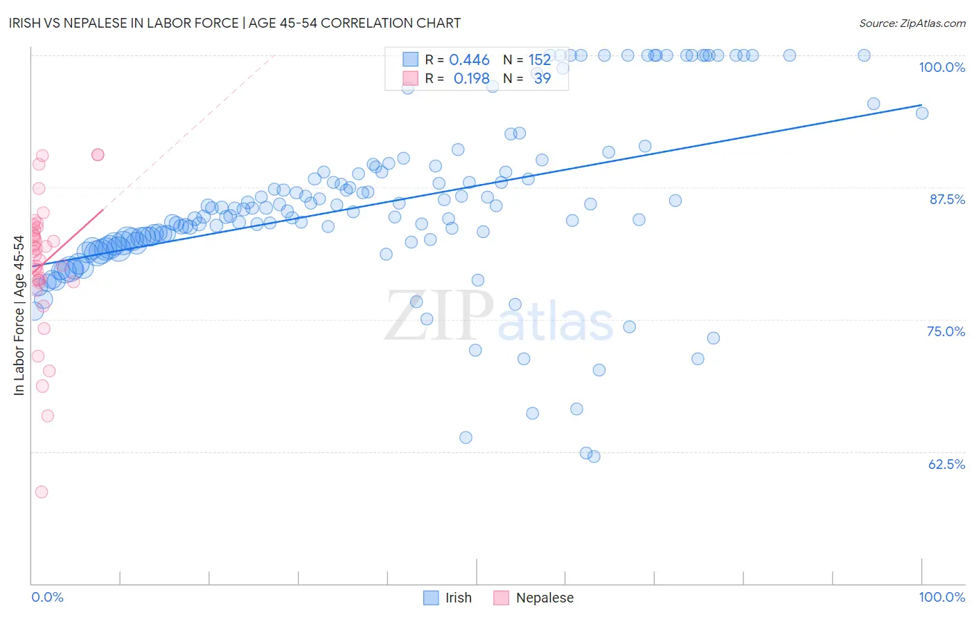 Irish vs Nepalese In Labor Force | Age 45-54