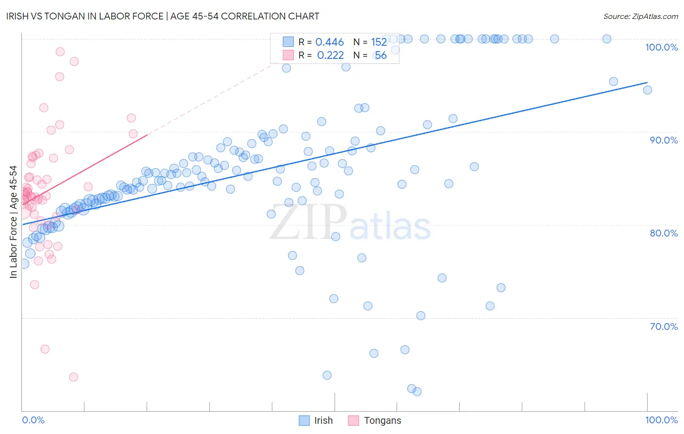 Irish vs Tongan In Labor Force | Age 45-54