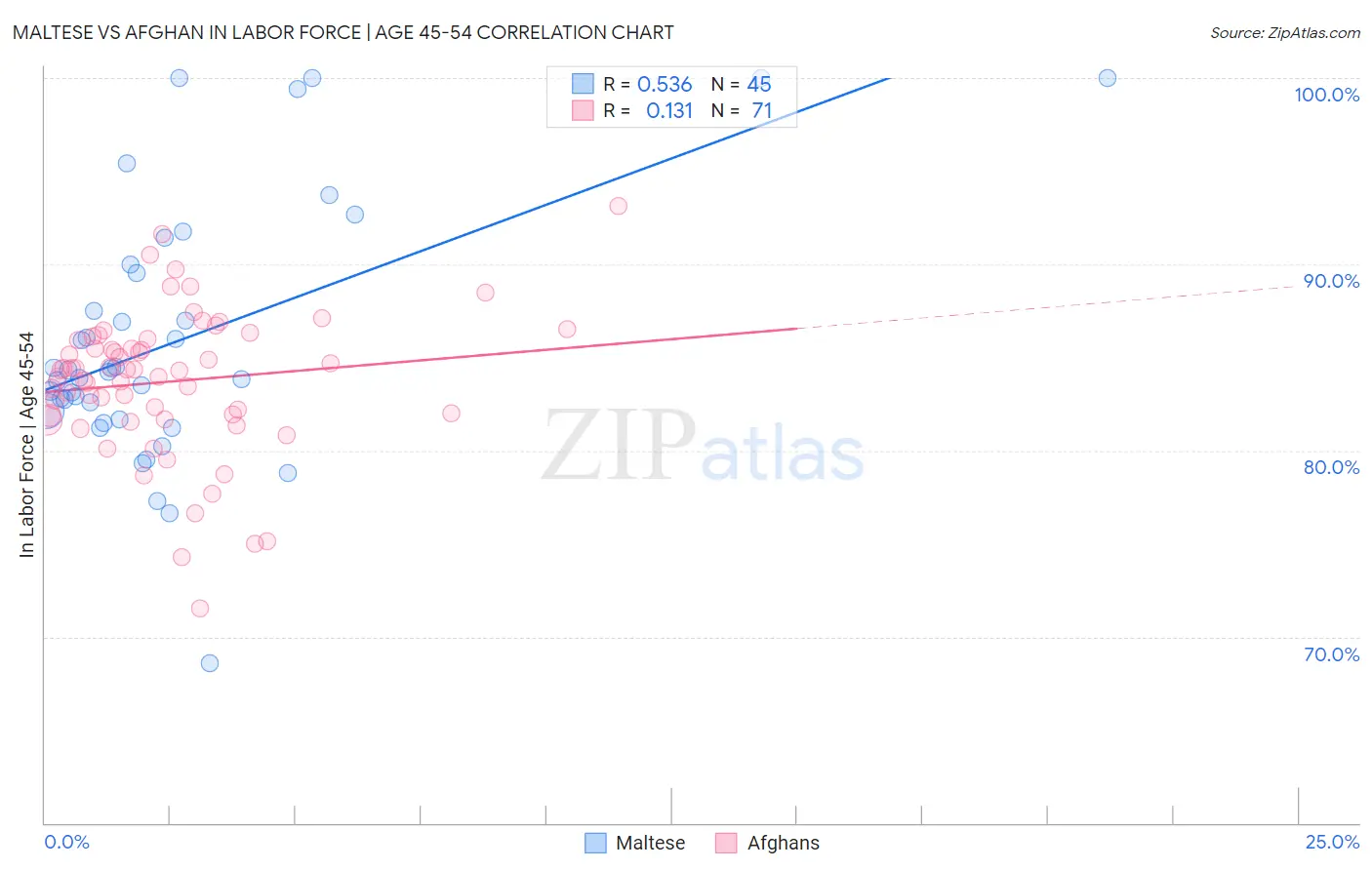 Maltese vs Afghan In Labor Force | Age 45-54