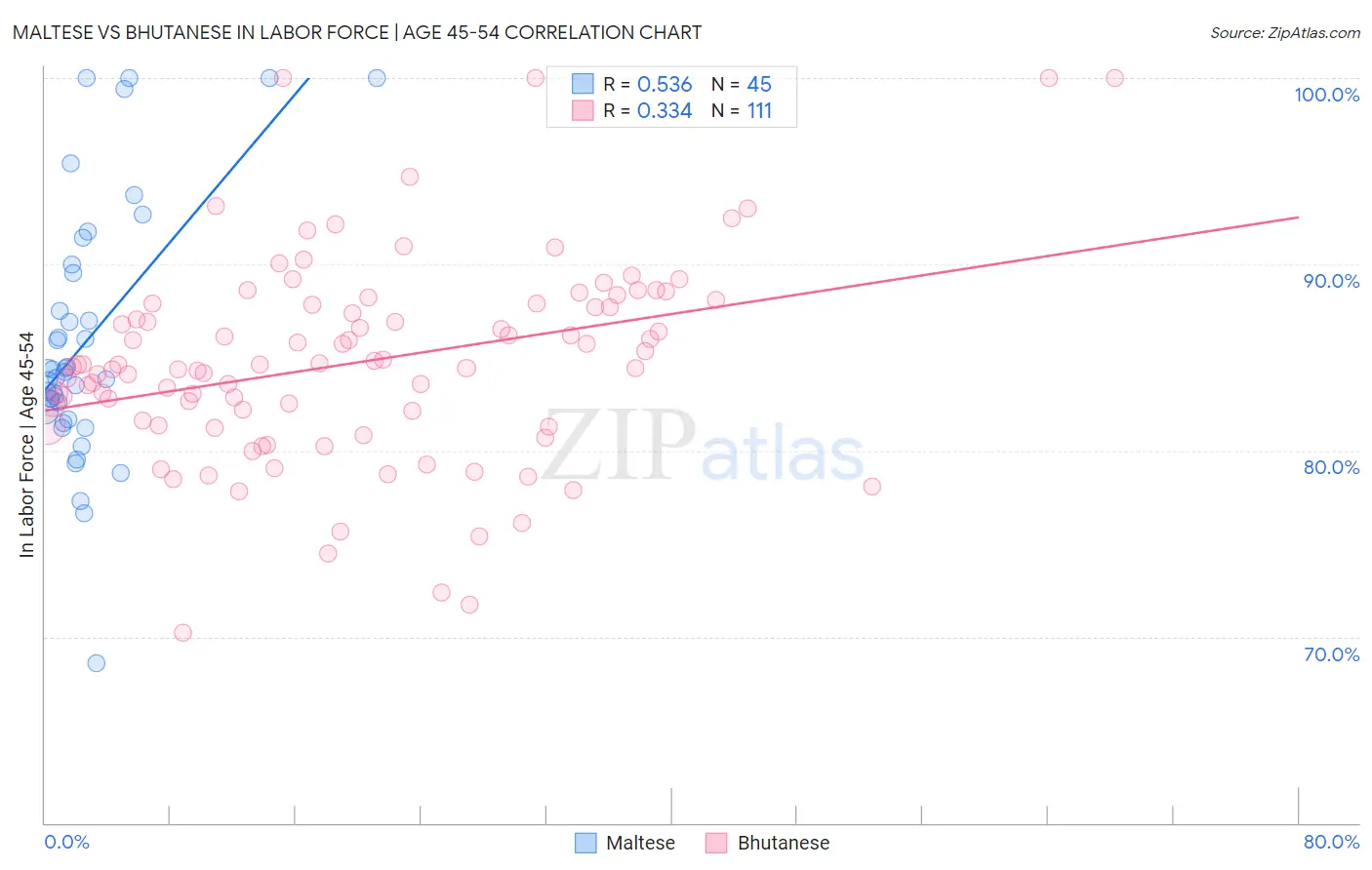 Maltese vs Bhutanese In Labor Force | Age 45-54