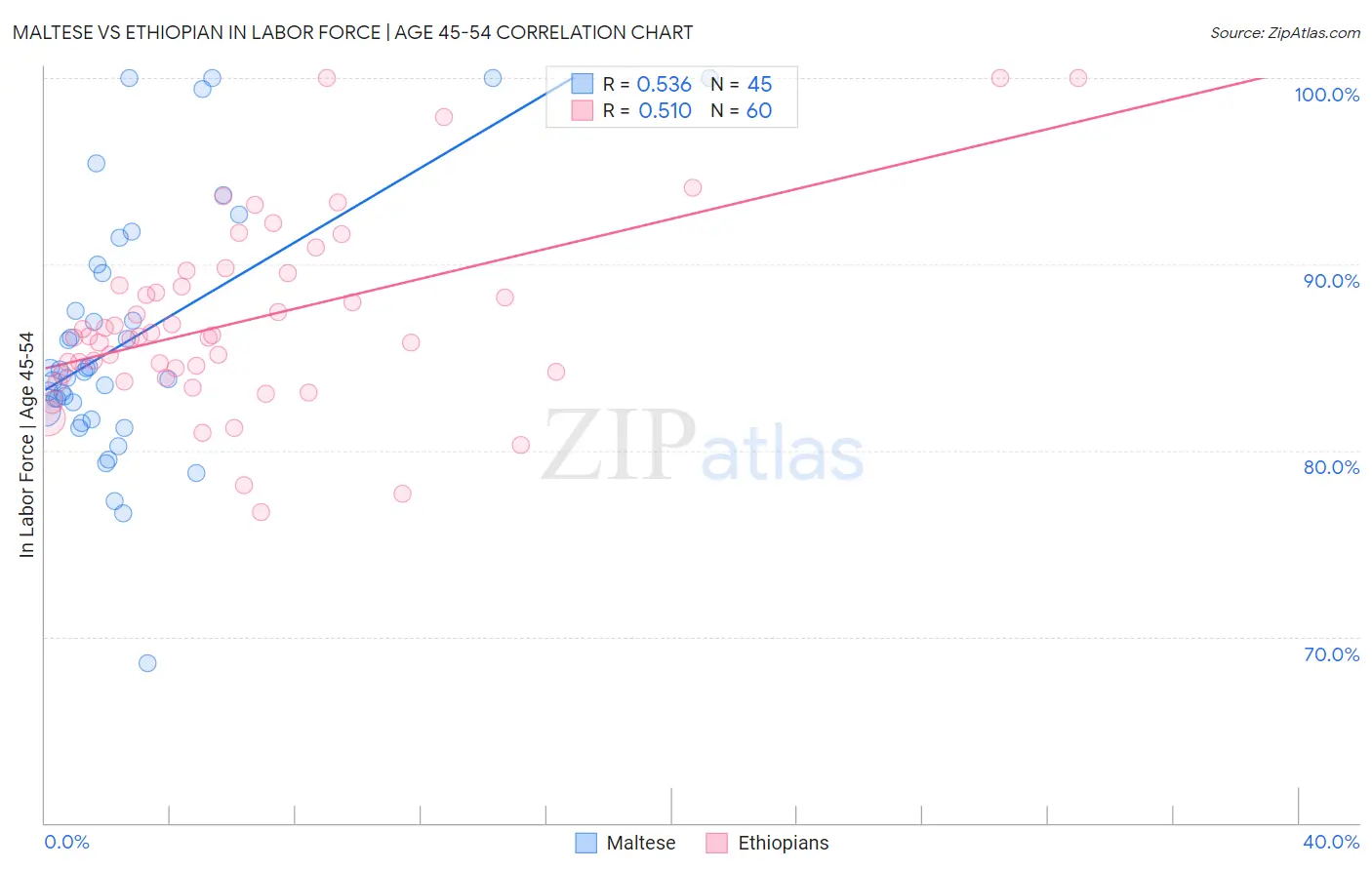 Maltese vs Ethiopian In Labor Force | Age 45-54