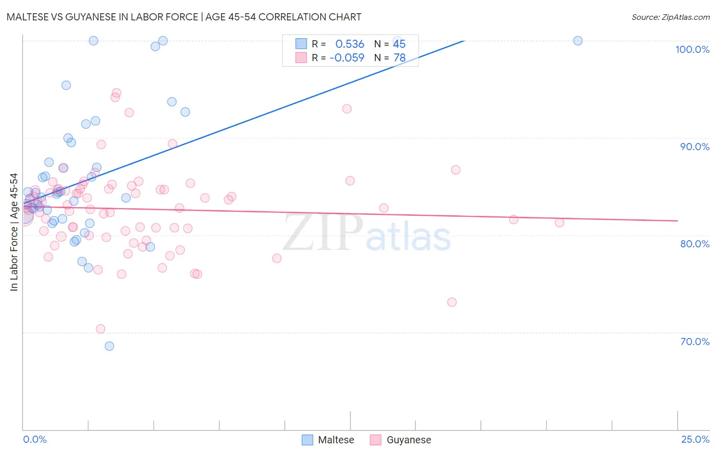 Maltese vs Guyanese In Labor Force | Age 45-54