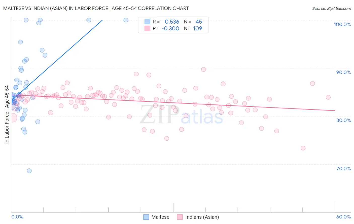 Maltese vs Indian (Asian) In Labor Force | Age 45-54
