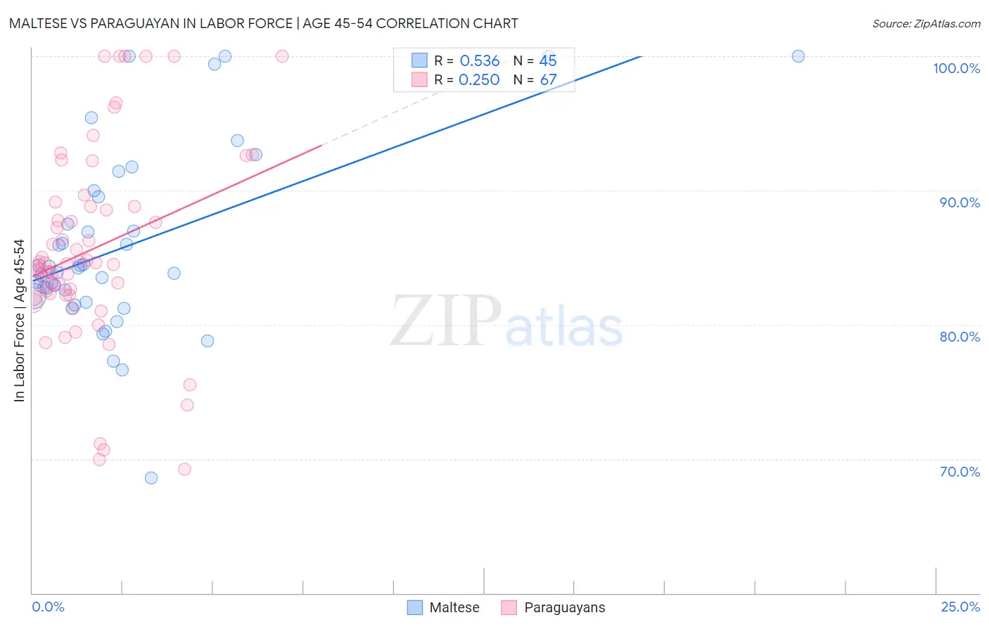 Maltese vs Paraguayan In Labor Force | Age 45-54