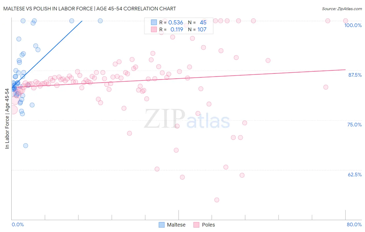 Maltese vs Polish In Labor Force | Age 45-54