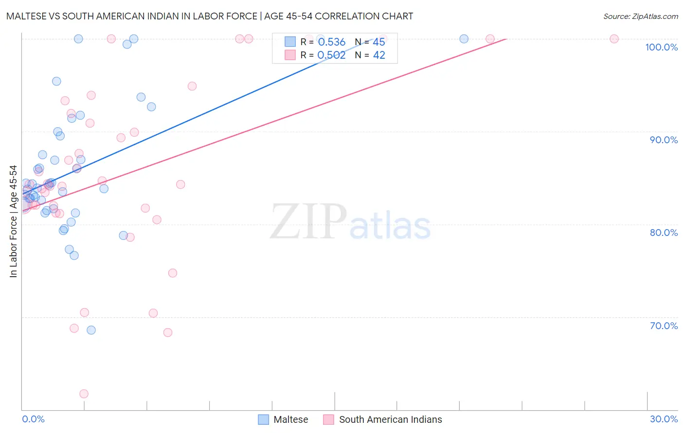 Maltese vs South American Indian In Labor Force | Age 45-54