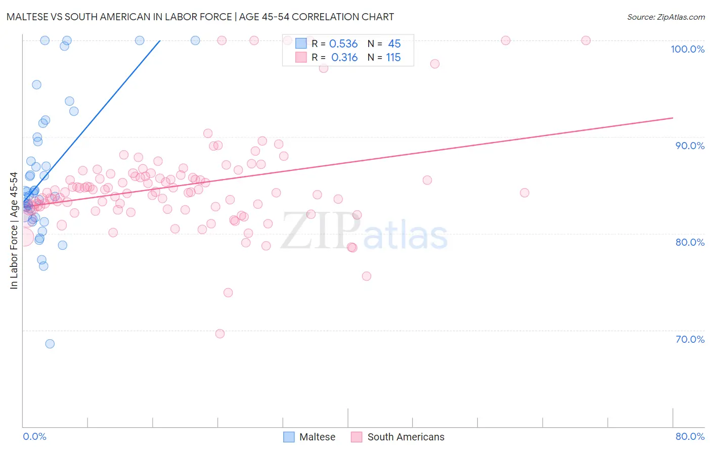 Maltese vs South American In Labor Force | Age 45-54